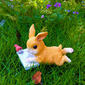 Garden bunny reading animal ornaments